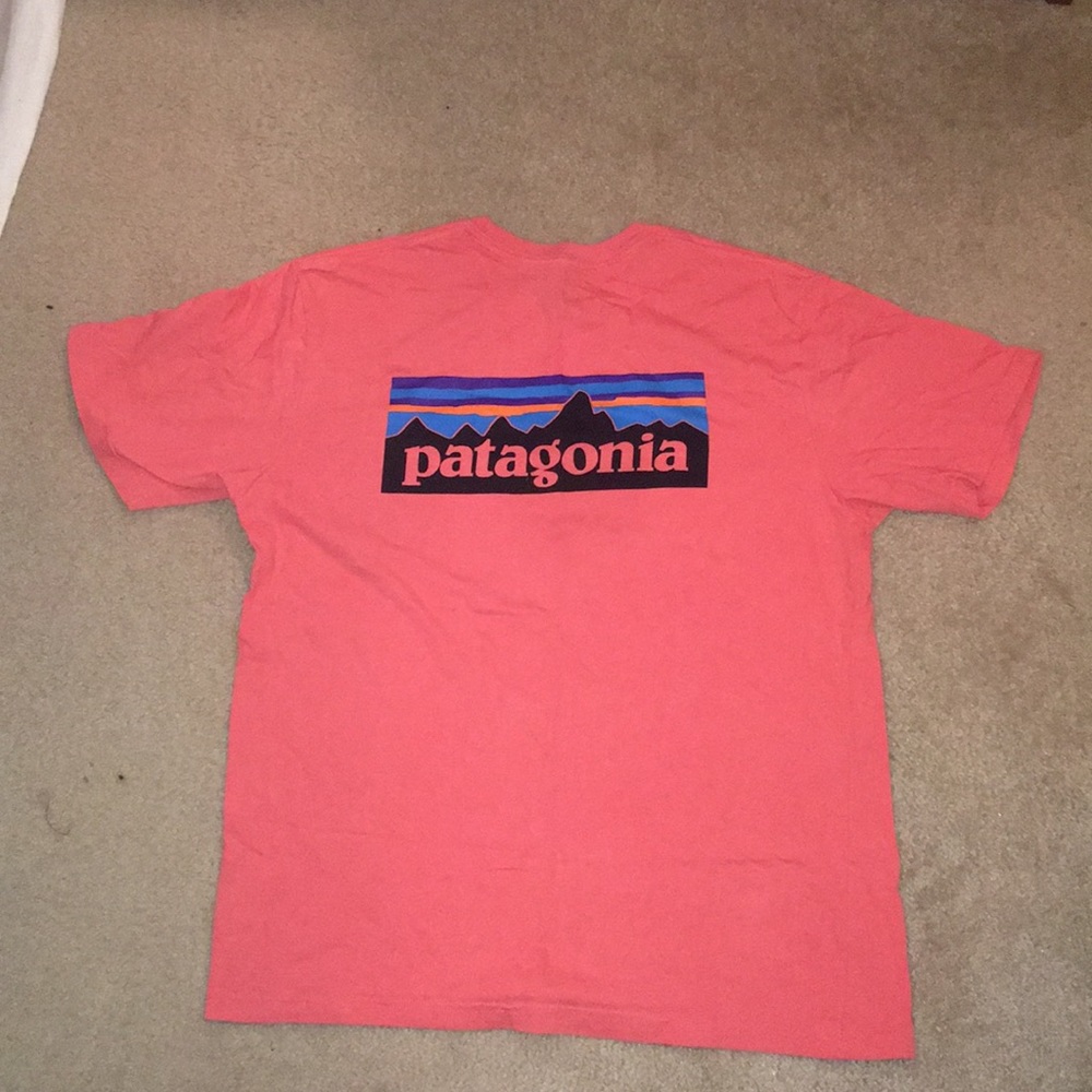 Patagonia Tee Shirt